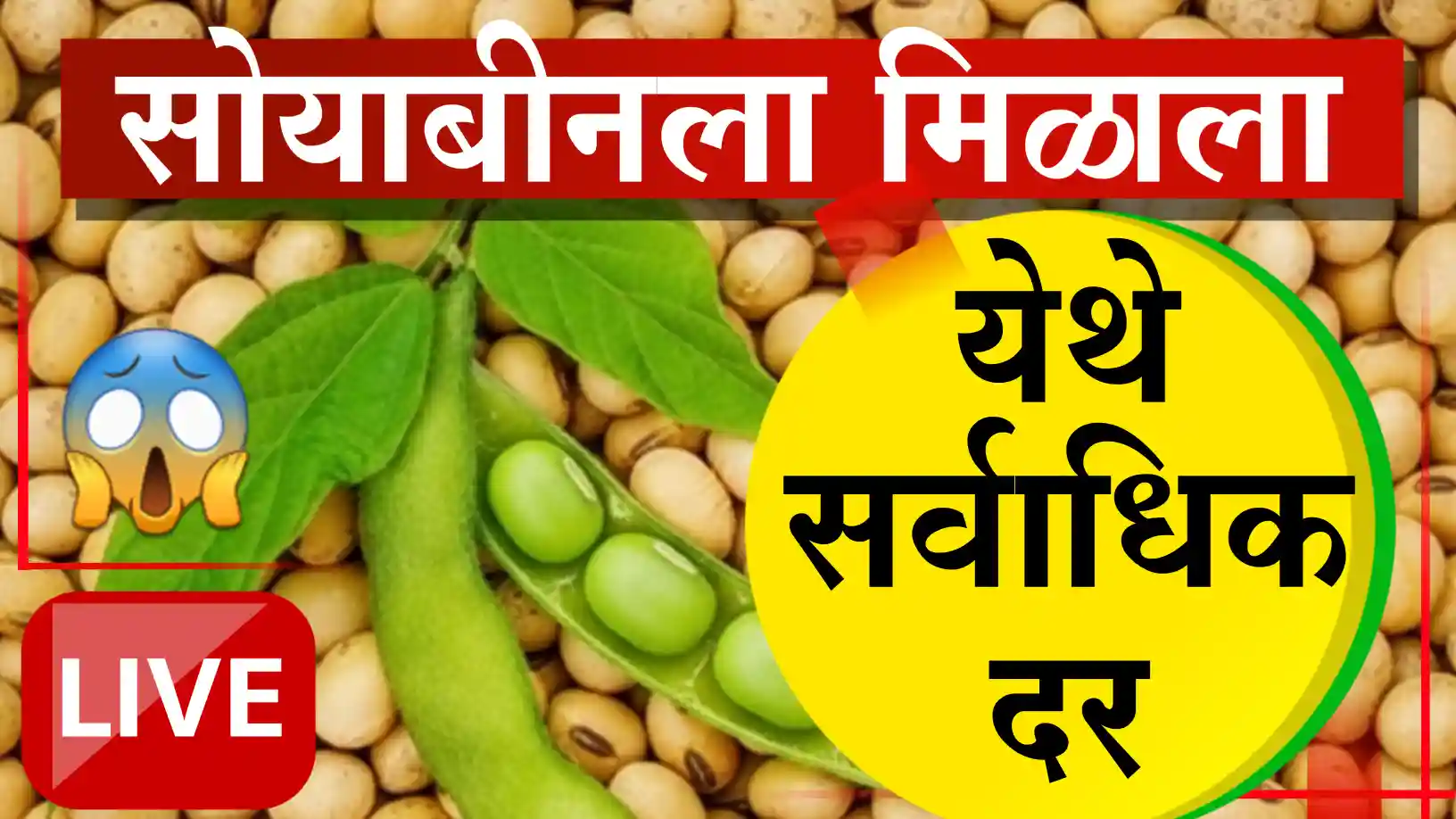 सोयाबीन बाजार भाव