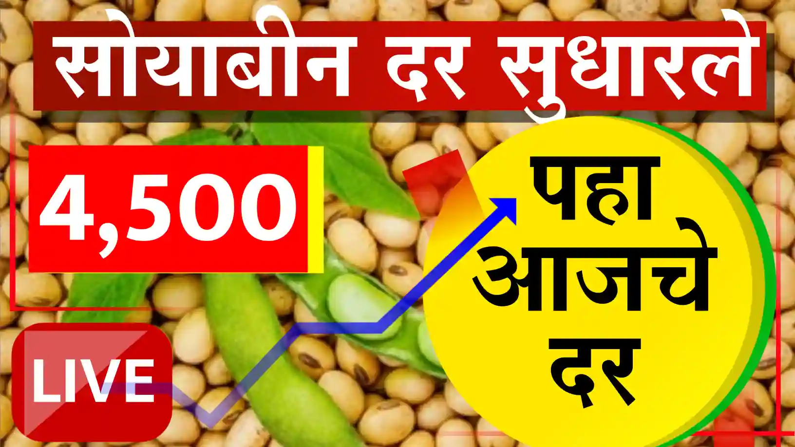 सोयाबीन बाजारात तेजीचे वारे