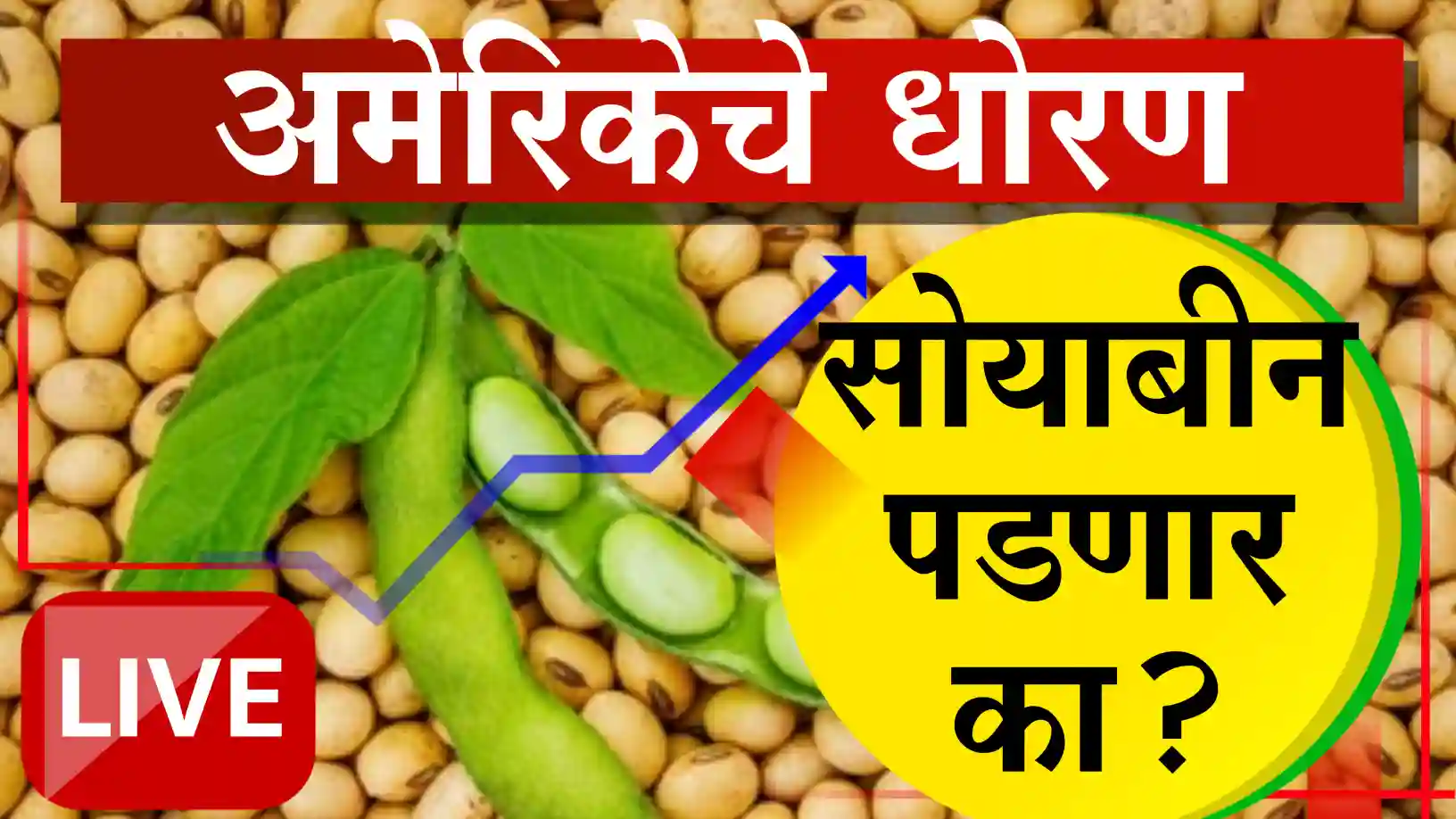 सोयाबीन बाजार दबावात