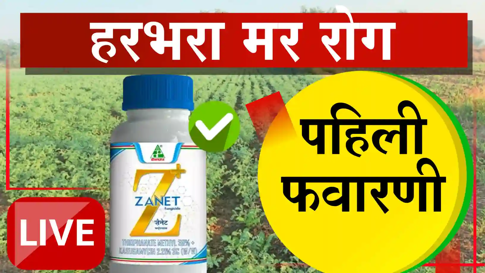 हरभरा पिकावरील मर रोगाचा धोका