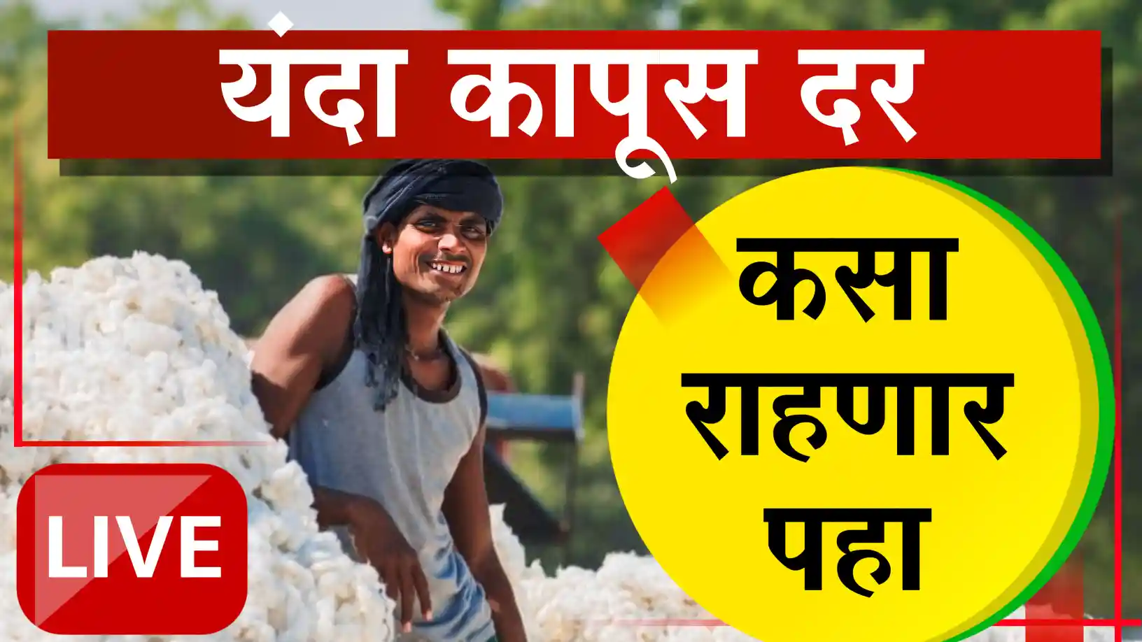 कापूस उत्पादन घटूनही दर दबावात