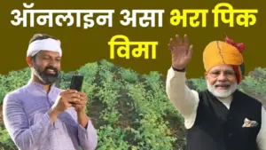 रब्बी पीक विमा २०२५: आता घरी बसल्या मोबाईलवरून भरा अर्ज, CSC सेंटरचे पैसे वाचवा; जाणून